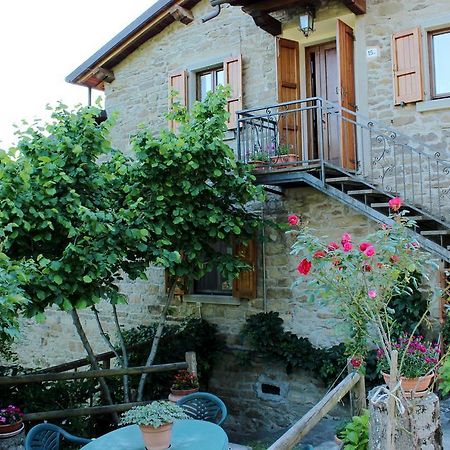 Agriturismo Casa Pallino Daire Pratovecchio Dış mekan fotoğraf